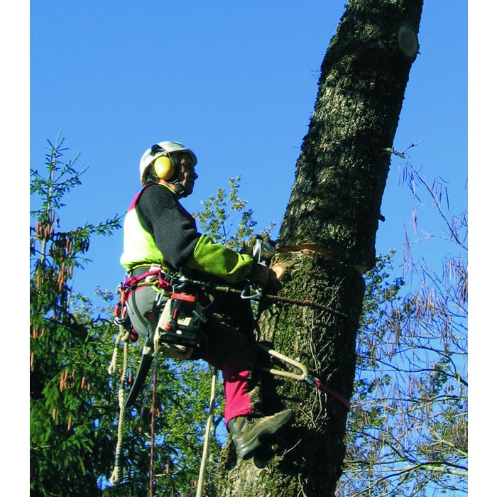 Person in protective helmet and clothing climbing a tree surrounded by green branches and blue sky