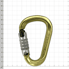 Carabiner Rondo 4 in gold with silver screw cap, manufacturer's name "Rondo" visible