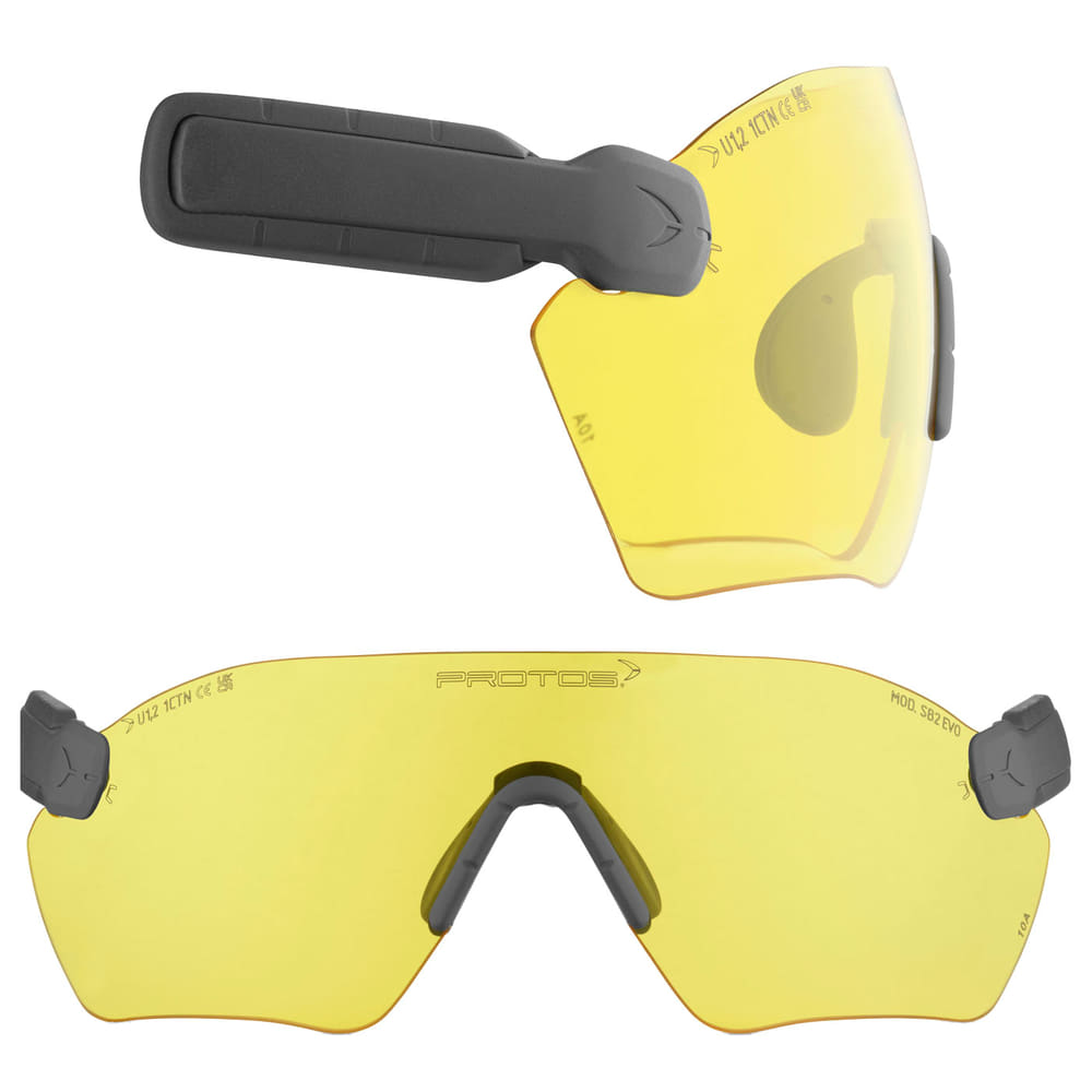 PROTOS® Protective Goggles E