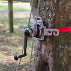 TreeTugger