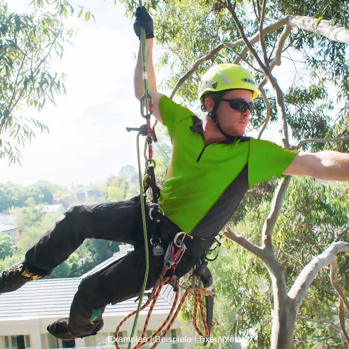 Person in green helmet and green t-shirt hanging from a tree with climbing equipment and ropes