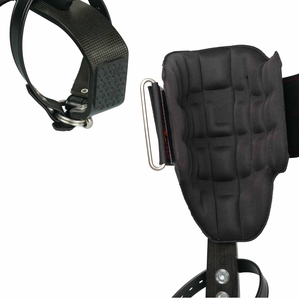 Distel Carbon 3.1 Classic by Distel, view of the inside with black upholstery and metal temple