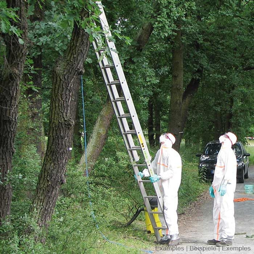 Two people in white EPS Guard protective suits with orange stripes, blue gloves and protective masks are standing next to a ladder in the forest, trees and a car can be seen in the background