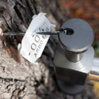 ArboTag Hammer