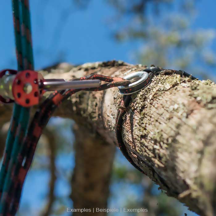 Black and red rope with metal ring and plastic element with the inscription SnakeTail, placed around a tree trunk