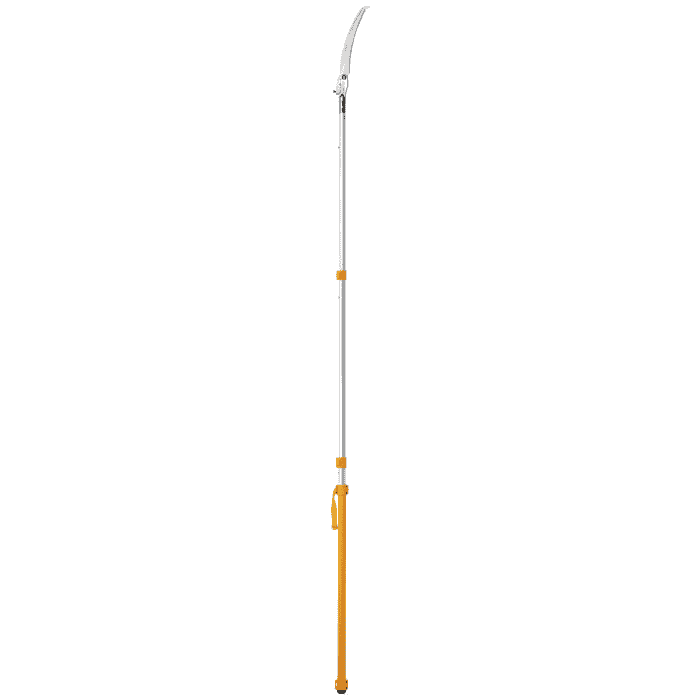 Longboy