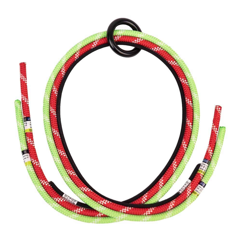 TreeRex Rope Bridge Set features several colorful ropes in red, green, and black laid into a loop, with a black metal ring at the top