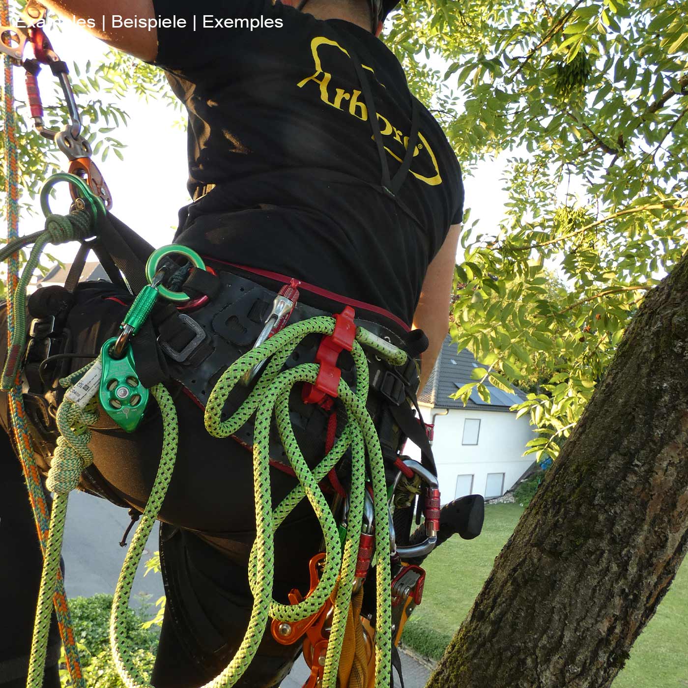 Buddy red plastic clip on black climbing harness with green rope and orange border