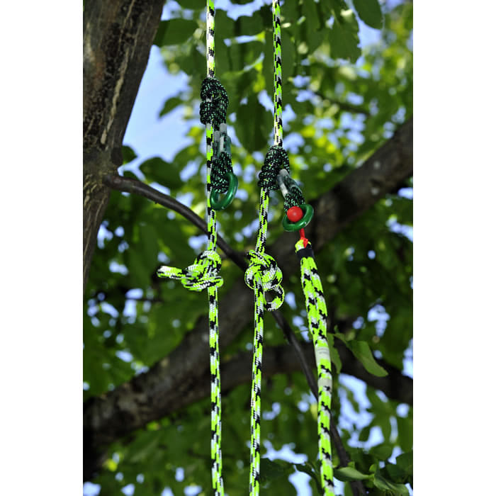 Sirius ringLOOP, three green and black ropes with green metal rings, hanging from a tree with green leaves in the background