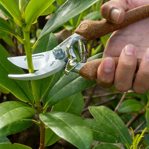 Berger C1760 Pruning Shears with Brown Handles in One Hand, Cuts Green Plant, Manufacturer's Name and Model Number Visible on the Blade