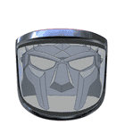 PROTOS® Visor Fine F39