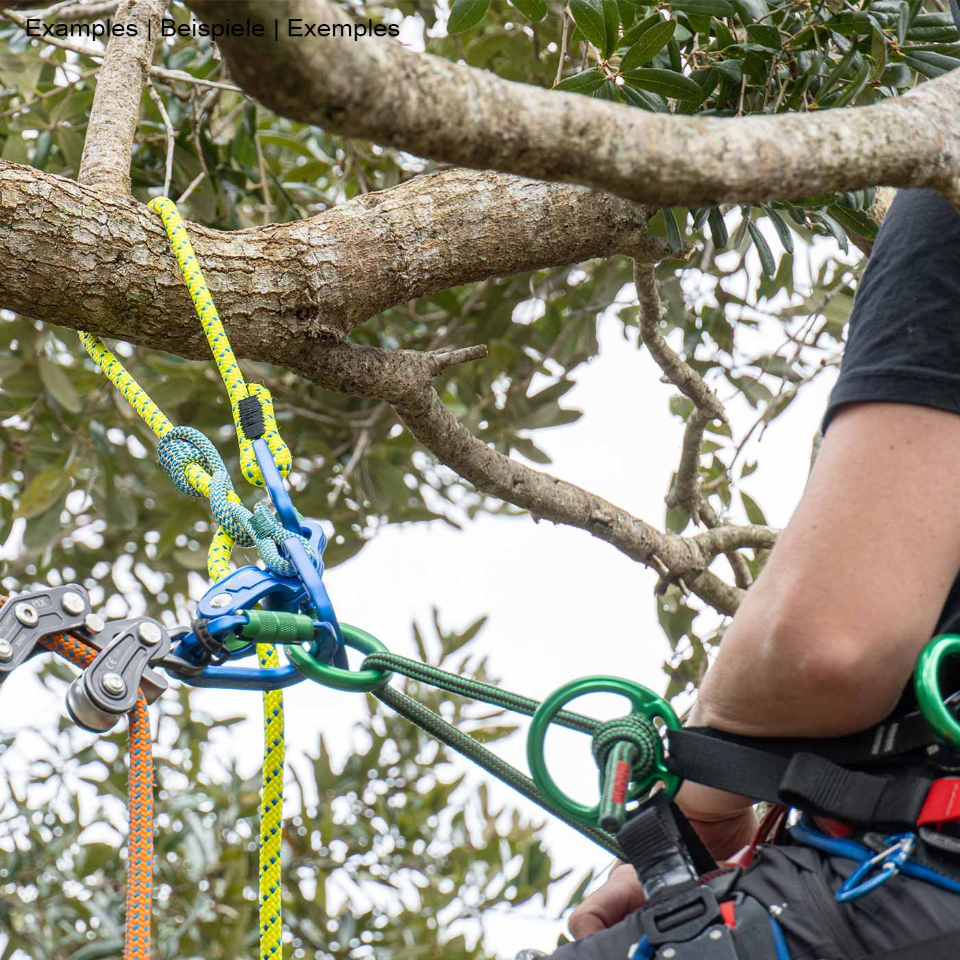 Close-up of a person wearing climbing equipment and miniGLIDE yellow rope with blue carabiners and blue pulley in a tree