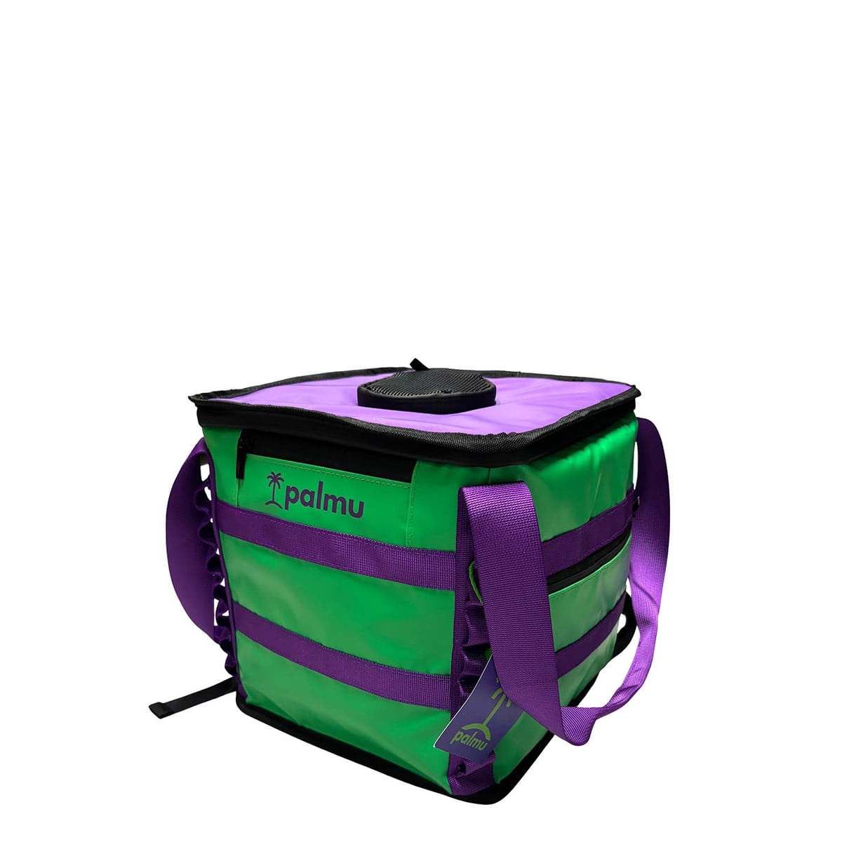Palmu 17