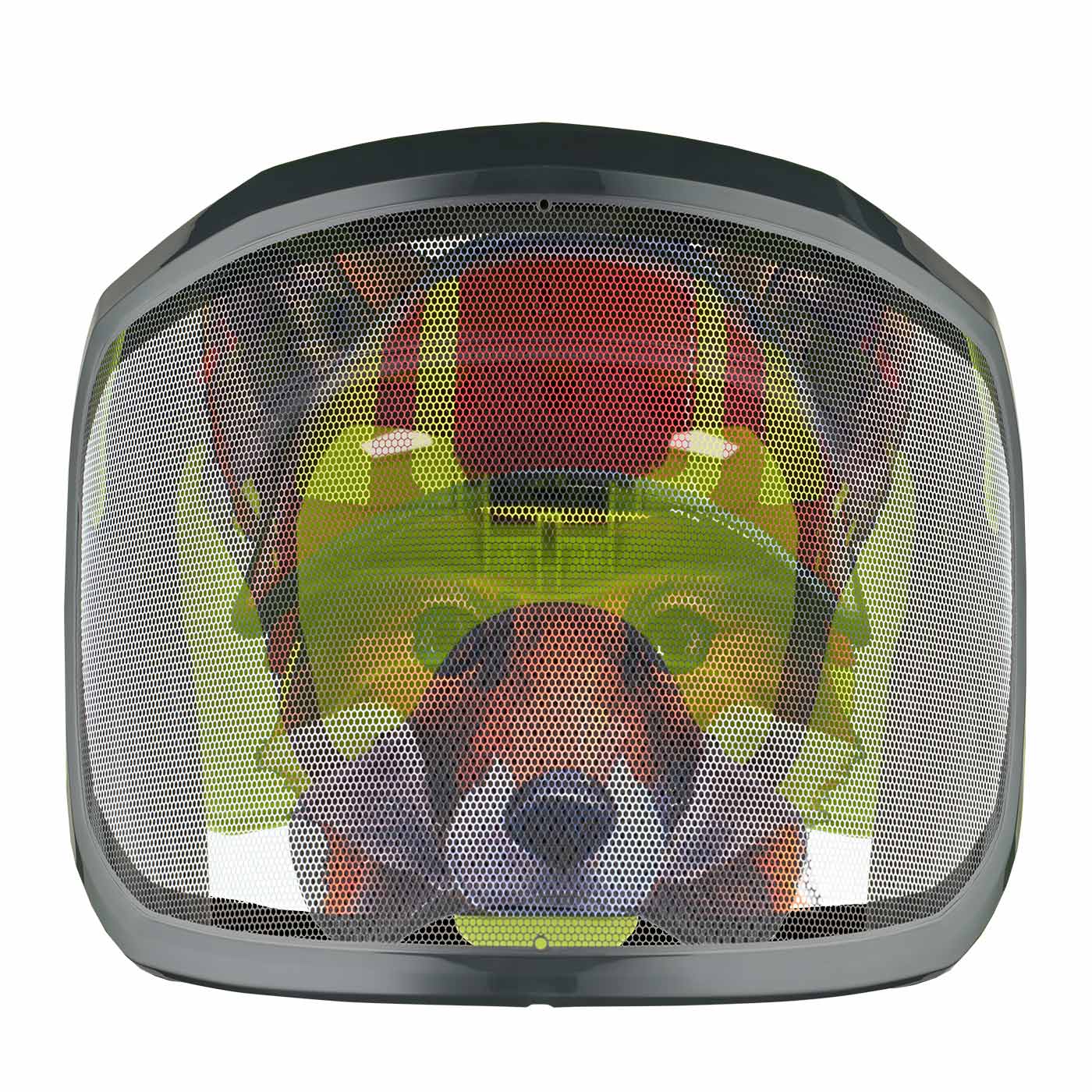 PROTOS® Visor Fine F39