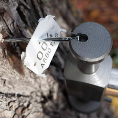 ArboTag Hammer