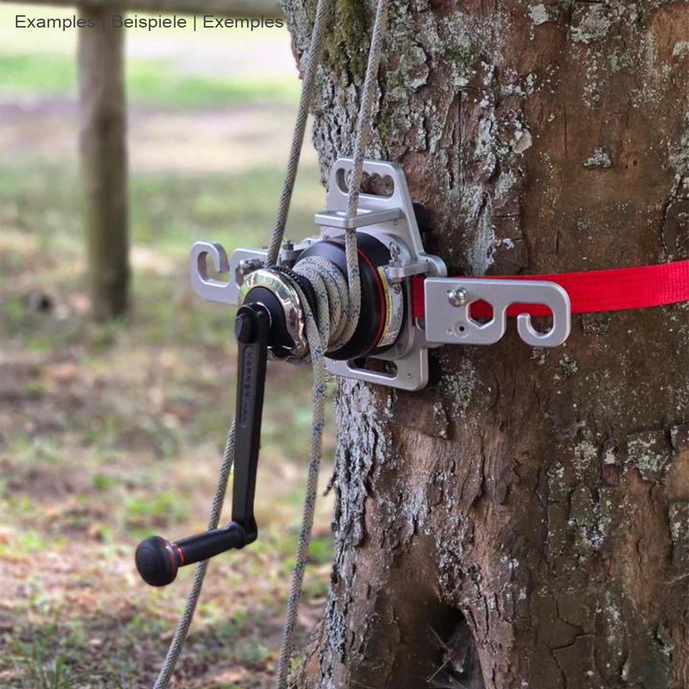 TreeTugger