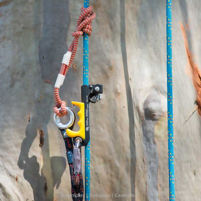 Black and red rope with metal ring and plastic element with the inscription SnakeTail, connected to a blue rope and a yellow and black climbing device on a tree bark